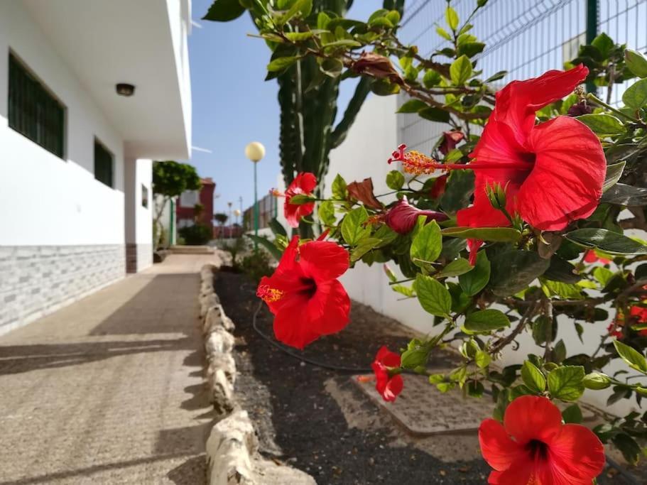 코스타 데 안티과 Casa Azul 아파트 외부 사진